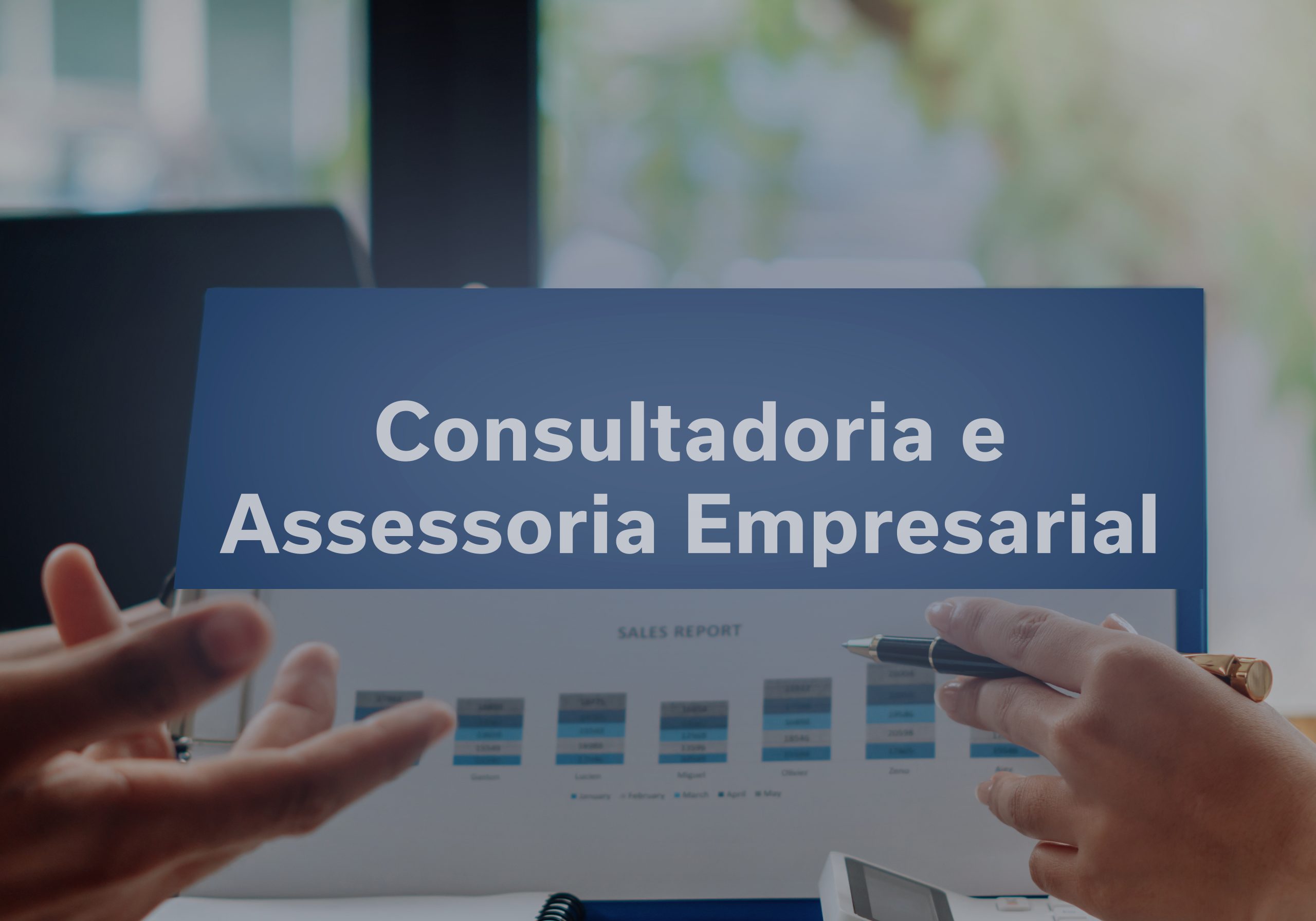 ConsultadoriaeAssessoriaEmpresarial